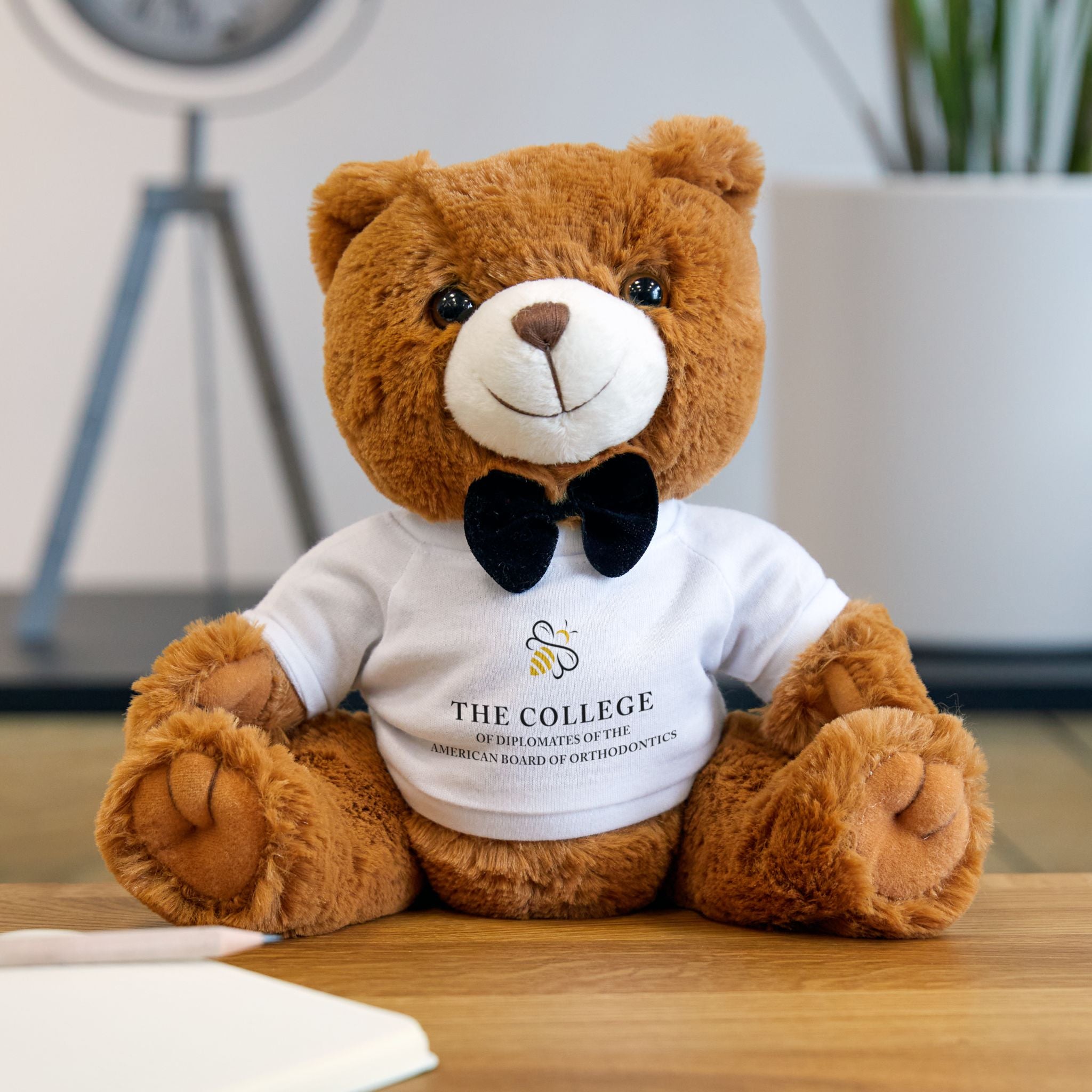 College Logo Plush Teddy Bear with Custom T-Shirt
