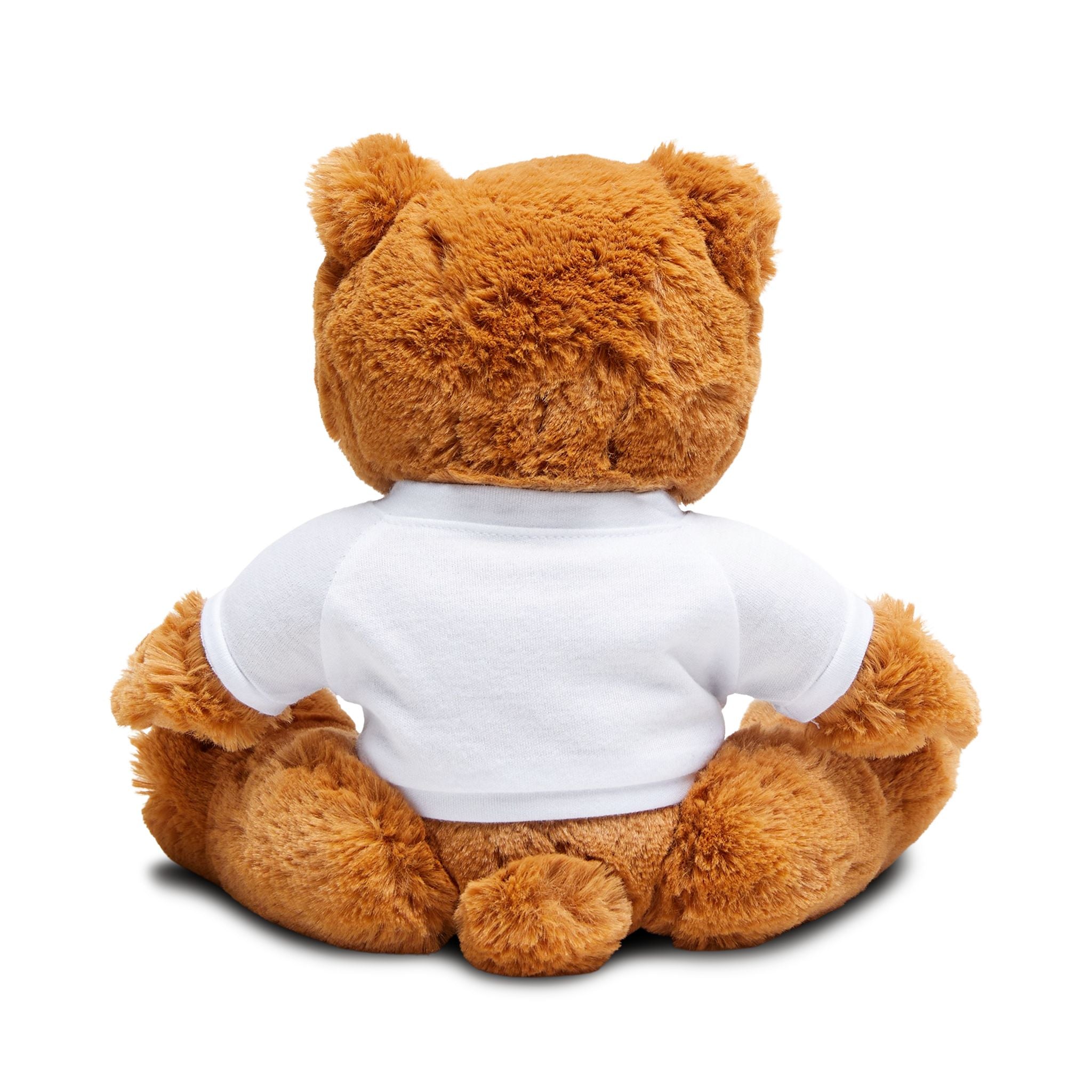 College Logo Plush Teddy Bear with Custom T-Shirt